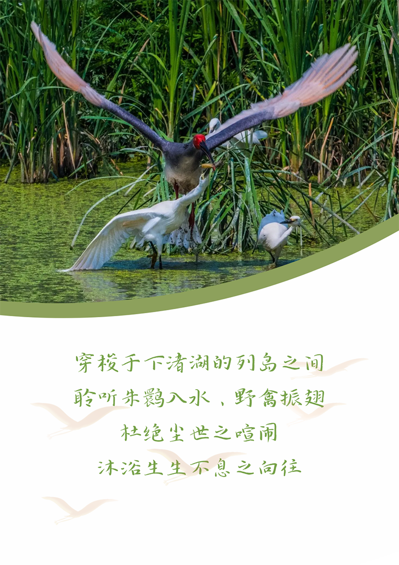 心心念廿 相伴亚游集团 | 与德清相约 贺廿载诞辰